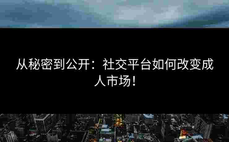 从秘密到公开：社交平台如何改变成人市场！