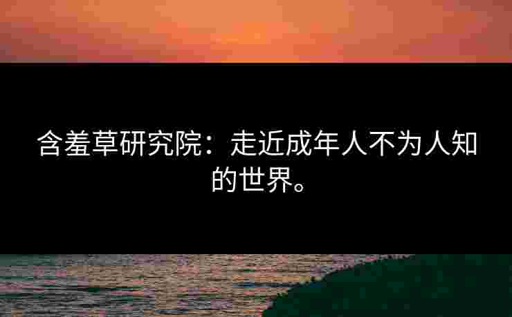 含羞草研究院：走近成年人不为人知的世界。